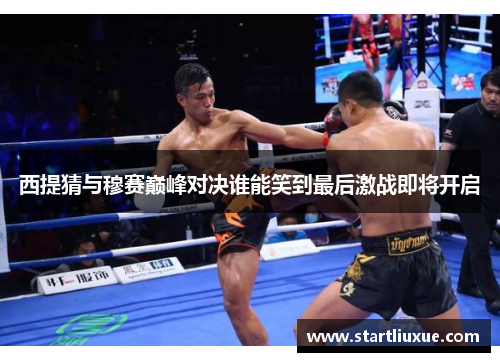 西提猜与穆赛巅峰对决谁能笑到最后激战即将开启