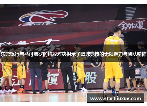 东莞银行与马可波罗的精彩对决揭示了篮球竞技的无限魅力与团队精神