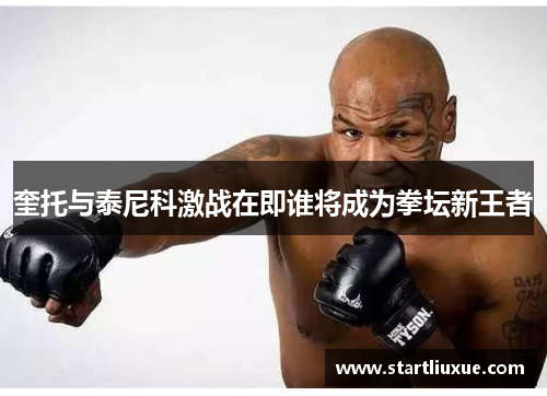 奎托与泰尼科激战在即谁将成为拳坛新王者